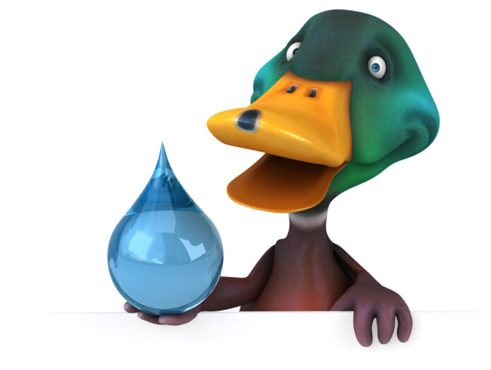 energia evaporazione drinking bird