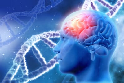 cellule staminali sistema nervoso centrale