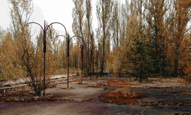vermi-chernobyl