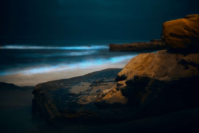 bioluminescenza