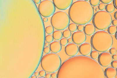 cellule