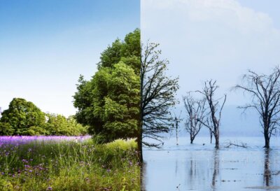 cambiamenti climatici inflazione