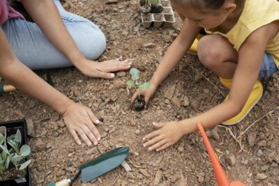 terra benefici sistema immunitario bambini