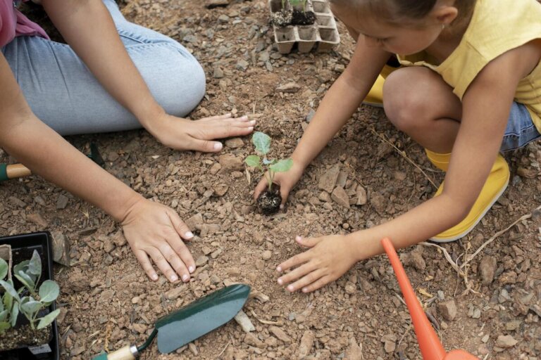terra benefici sistema immunitario bambini