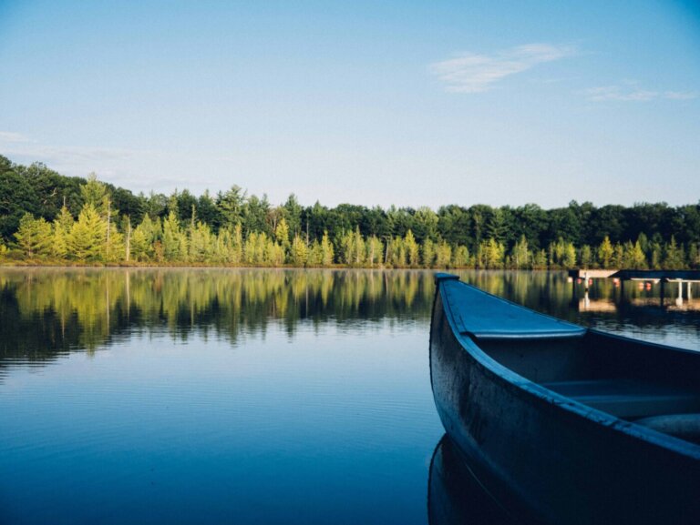 lago-tulare
