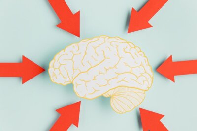 lavoro stimolante declino cognitivo