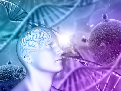 serotonina comportamento motivazione