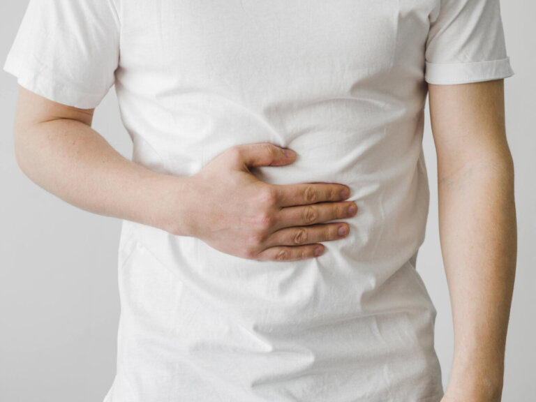 intestino