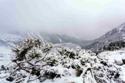 terremoti-neve