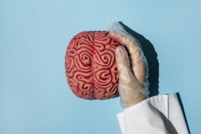 bias recency tendenza centrale memoria di lavoro