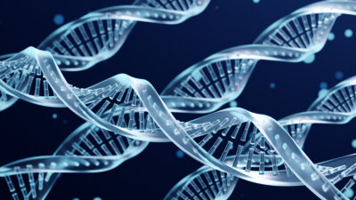 nuovo gene arma cancro metastatico