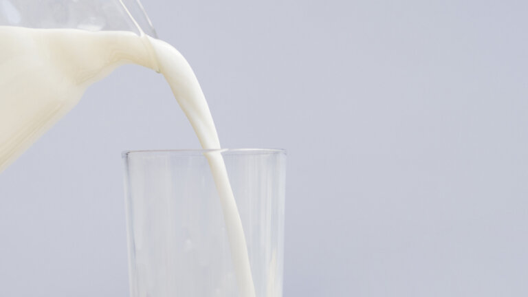 influenza aviaria contagio latte