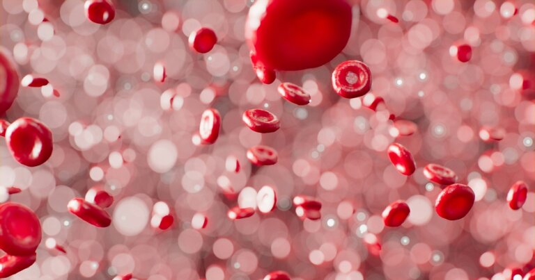 sangue-centenari-segreto-salute