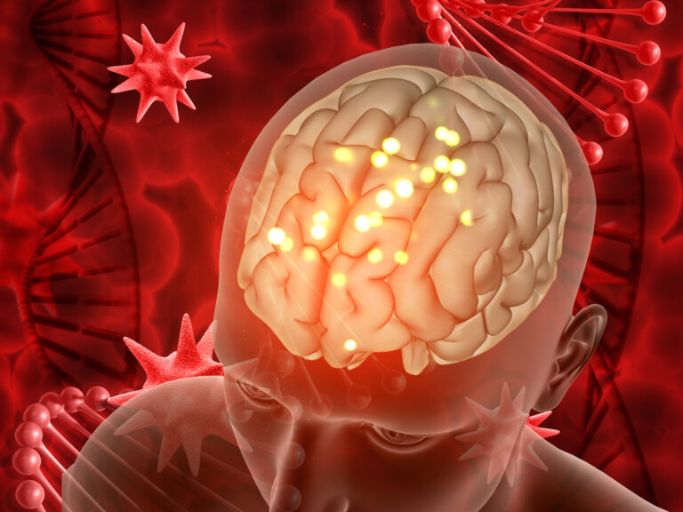 terapia lotta cancro cervello