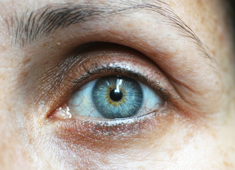 antiossidanti perdita vista AMD
