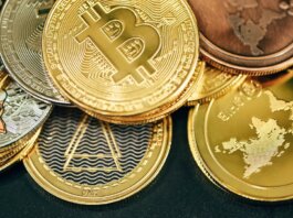 criptovalute-psicologia-tipico-investitore