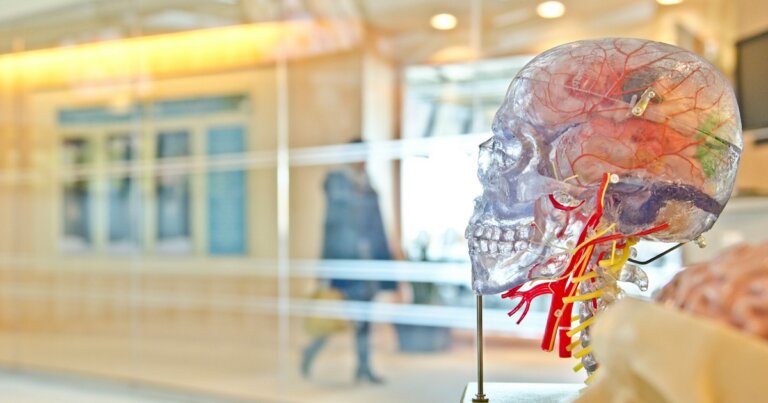 parkinson-manipolare-memoria-aiutare