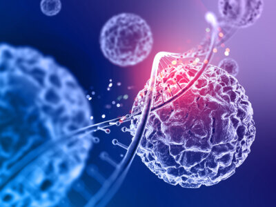 neuroni sensoriali cancro