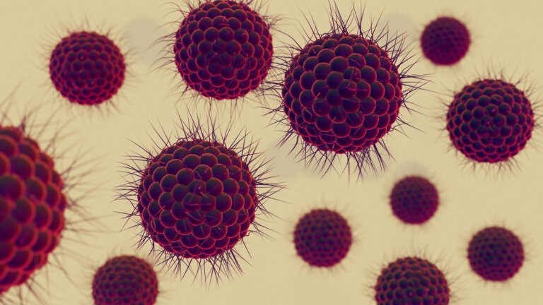herpesvirus difesa infezioni latenti
