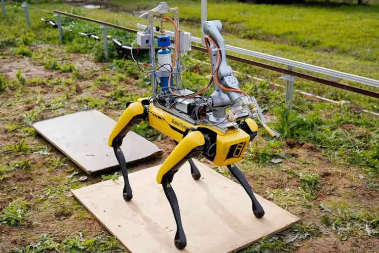 Cane Robot con Lanciafiamme: Una Nuova Soluzione per il Controllo delle Erbacce nelle Fattorie