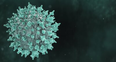 virus nipah sintomi