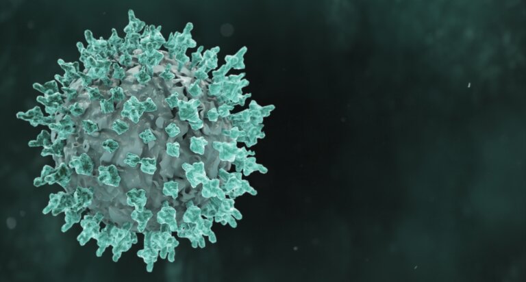 virus nipah sintomi
