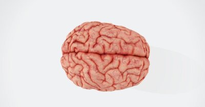 alzheimer-proteine-tau-salute