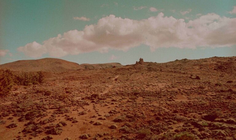 La NASA potrebbe aver involontariamente eliminato la vita su Marte negli anni ’70