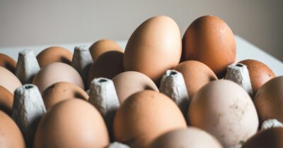 uova-colesterolo-protezione-cervello