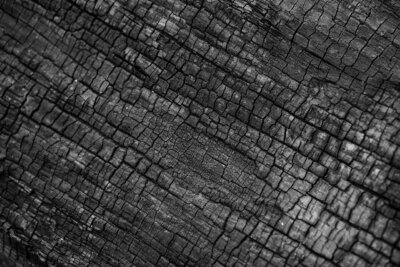 biochar
