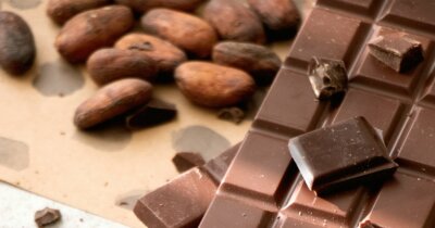 cacao-alimenti-grasso-salute