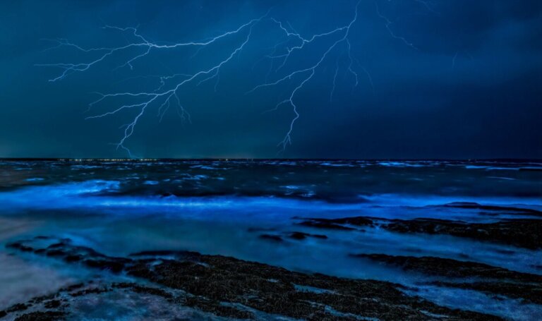 bioluminescenza