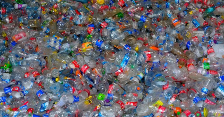 microplastica-danni-salute-rischio