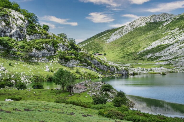 realtà virtuale sollievo dolore scene naturali