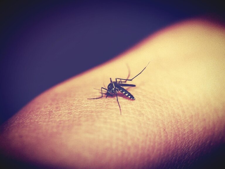 malaria resistenza farmaci