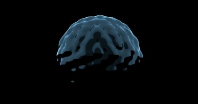 infiammazione materna sviluppo cerebrale neonato