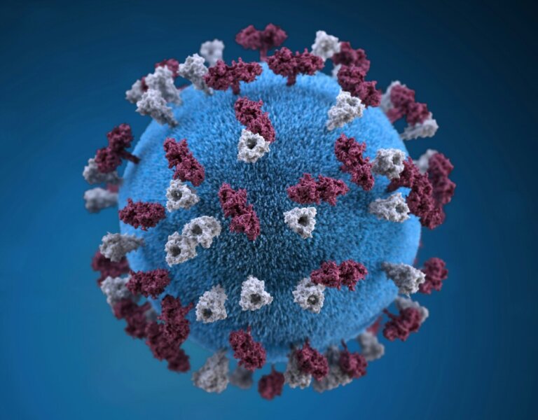 morbillo conseguenze bambini vaccino