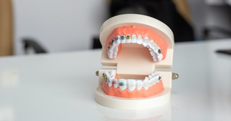 denti-nuovi-cresciuti-laboratorio