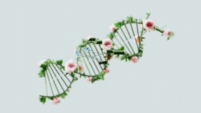 razza realtà biologica invenzione umana
