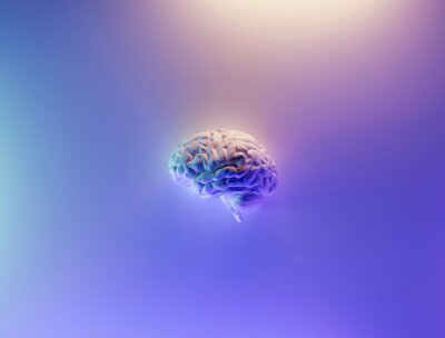 proteine cervello comportamento neurotipico
