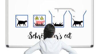 Il gatto di Schrödinger caldo: scoperte in fisica quantistica