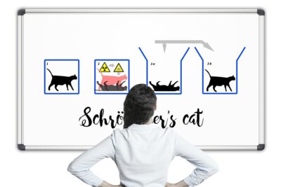 gatto di Schrödinger fisica quantistica
