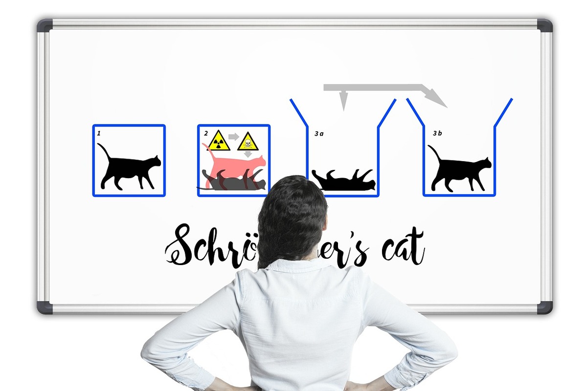 gatto di Schrödinger fisica quantistica