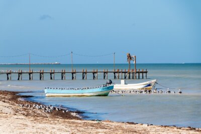 mar dei sargassi senza costa correnti