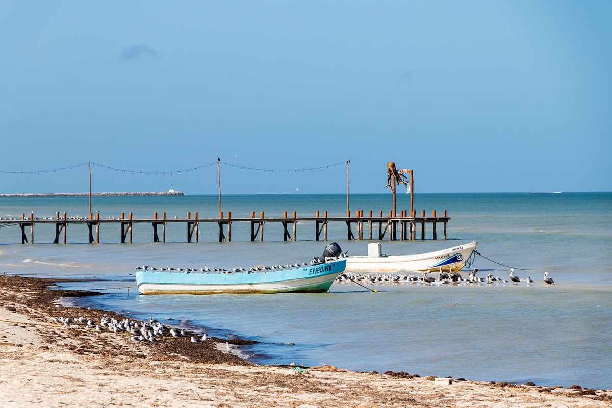mar dei sargassi senza costa correnti