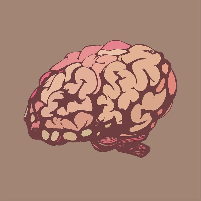 decodificatore cerebrale pensieri rapidi