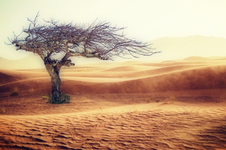 Sudafrica innalzamento effetto paradosso