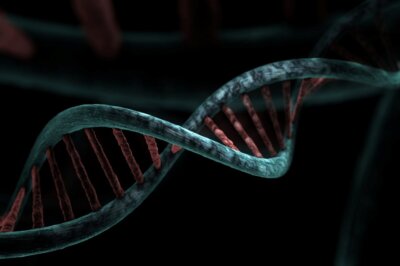 dna hackerato