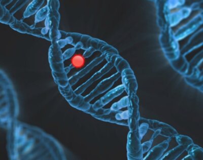 genetica autismo disabilità intellettive