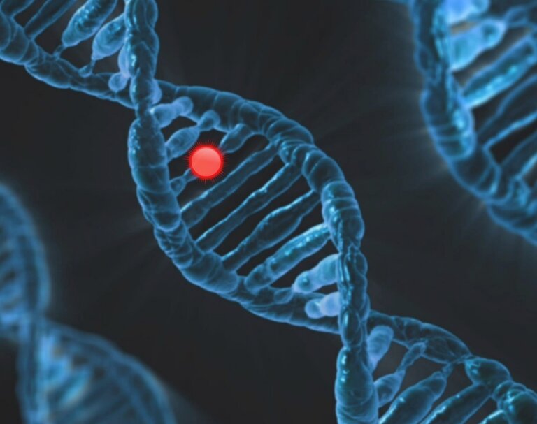 genetica autismo disabilità intellettive